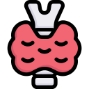 thyroid